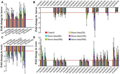 Tissue-Specific Regulation of Gma-miR396 Family on Coordinating Development and Low Water Availability Responses